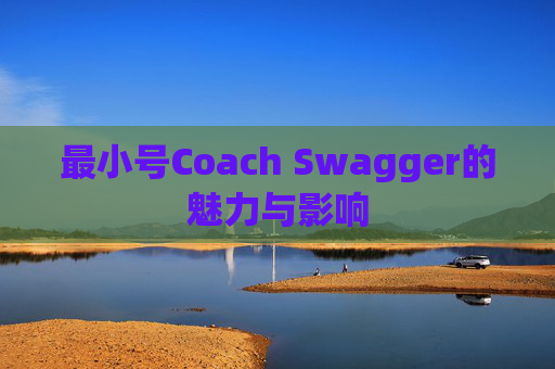 最小号Coach Swagger的魅力与影响