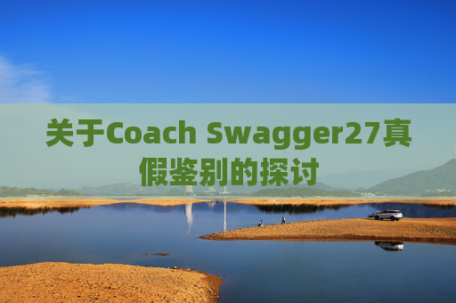 关于Coach Swagger27真假鉴别的探讨